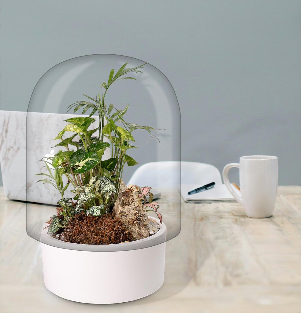 Biogarden, Ecosistema terrario Jardín Botánico Matisse integrado en tu espacio