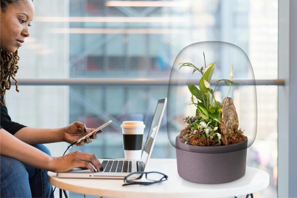 Biogarden, ecosistema Jardin botánico Renoir, siempre a tu lado