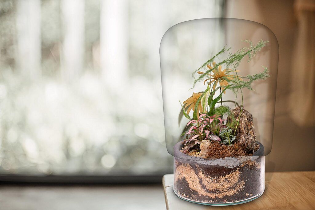 Biogarden, ecosistema terrario JARDIN BOTÁNICO MONET en la decoración y regalo del hogar