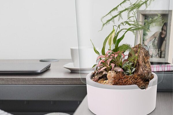 Biogarden, Ecosistema JARDIN BOTANICO MONET decorando el hogar y como regalo excelente Biogarden, Ecosistema JARDIN BOTANICO MONET decorando el hogar y como regalo excelente