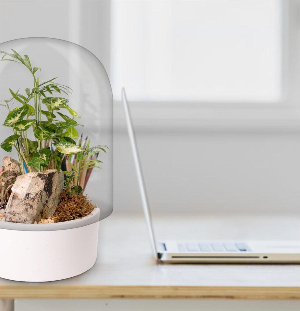 Biogarden, Ecosistema terrario Jardín Botánico Matisse junto a tu espacio de trabajo