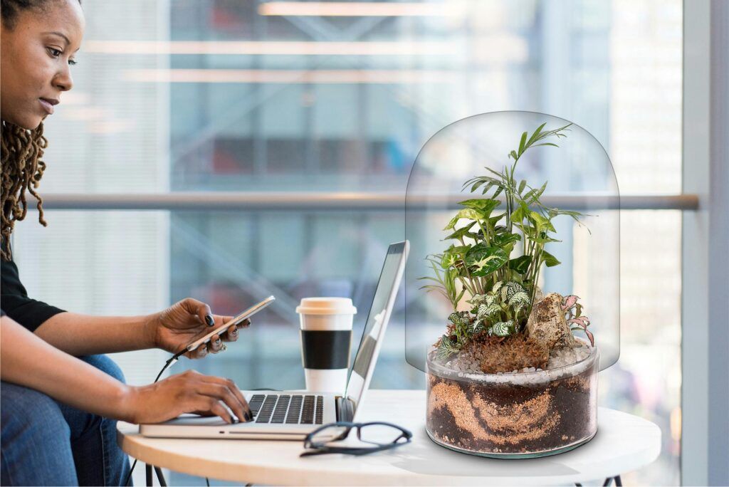 Biogarden, ecosistema Jardin botánico MATISSE, la Naturaleza en tu lugar de trabajo siempre es mejor