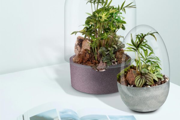 04 Biogarden, Ecosistema terrario Jardín Botánico Matisse poniendo Naturaleza en tu vida 04 Biogarden, Ecosistema terrario Jardín Botánico Matisse poniendo Naturaleza en tu vida