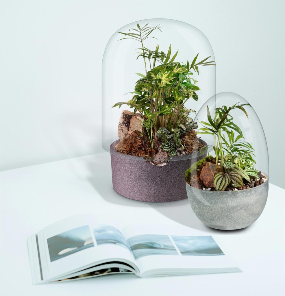 Biogarden, Ecosistema terrario Jardín Botánico Matisse poniendo Naturaleza en tu vida