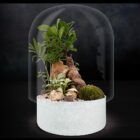 Biogarden, ecosistema terrario con cúpula de vidrio transparente y base en color antracita, contiene un terrario con bonsai, rocas y plantas de diferentes colores. La fotografia tien fondo negro para que se pueda apreciar el efecto del vidrio