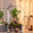 Biogarden Bonsai ZEN, fotografía de dos elementos en la decorac ión de espacios