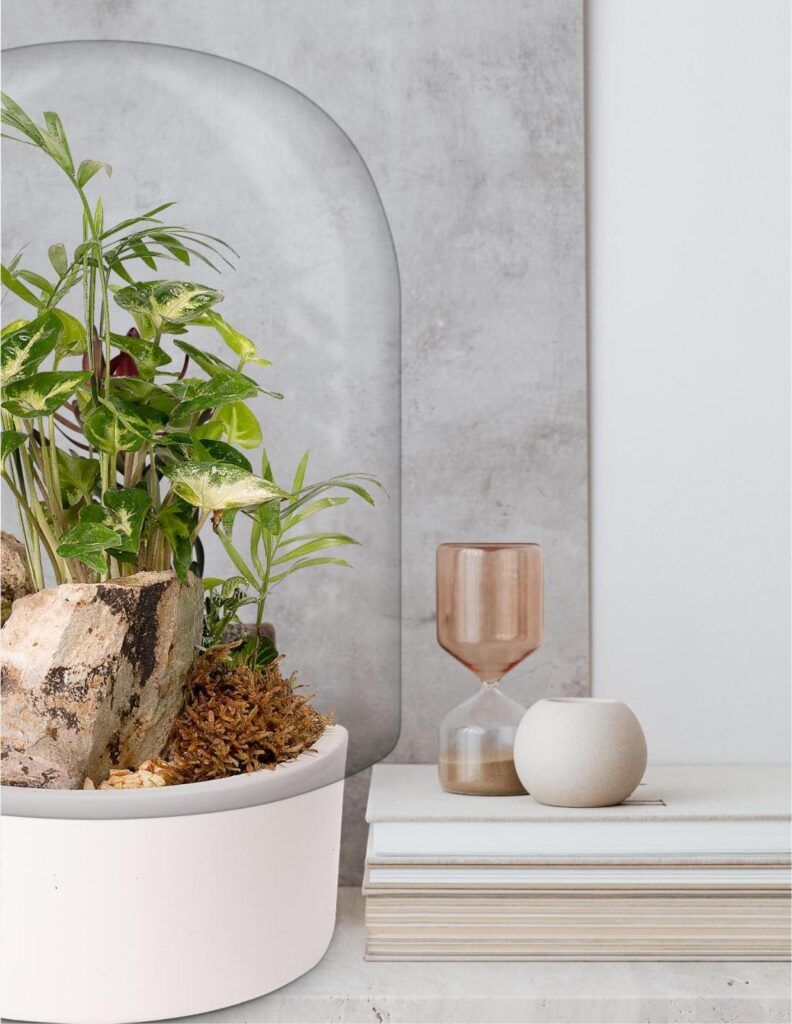 Biogarden, Ecosistema terrario Jardín Botánico Matisse integrado en tu hogar