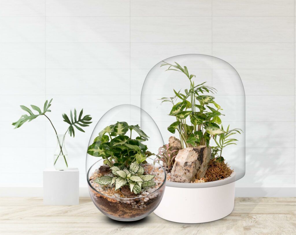 Biogarden Ecosistema Pocket Verdi acompañado de un jardin botánico Biogarden Ecosistema Pocket Verdi acompañado de un jardín botánico en una escena de decoración del hogar