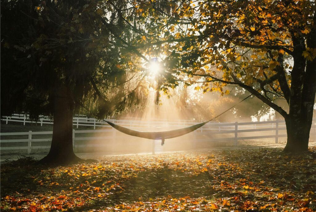 Biogarden. Naturaleza, el ecosistema en tus manos Biogarden, el ecosistema en tus manos