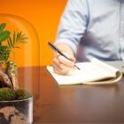 Biogarden ecosistema ZEN al lado de tu lugar de trabajo, tenerlo al lado de tu ordenador te aporta paz y sosiego