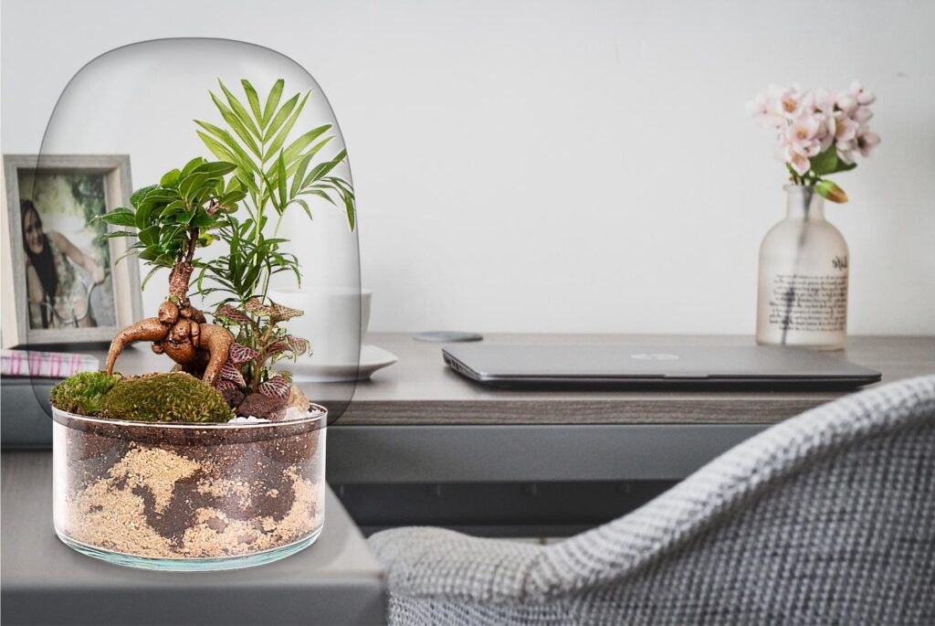 Perfecto en tu hogar, Ecosistema UNSUI decorando un espacio