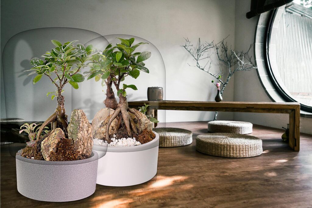 Dos ecositemas Bonsai Biogarden, en una escena de decoración del hogar