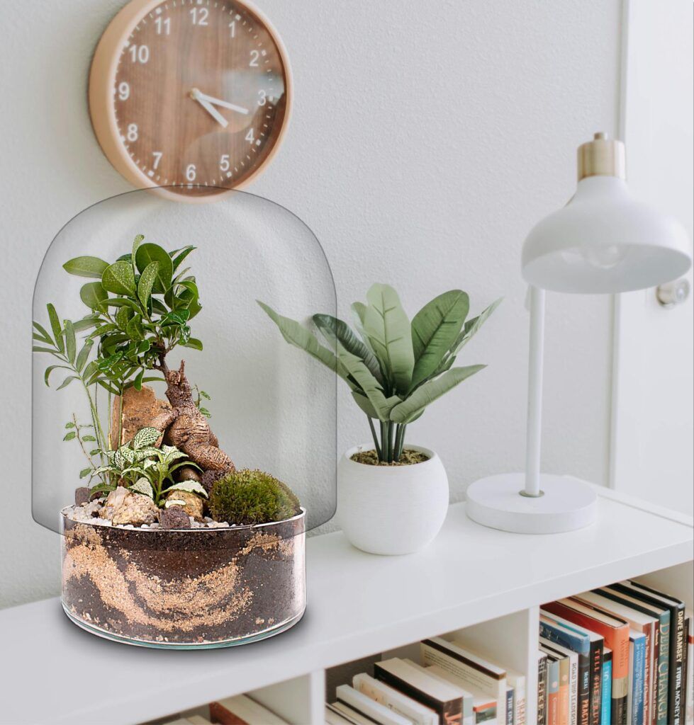 Biogarden Ecosistema terrario bonsái ZEN Decoración 5 Ecosistema Bonsái terrario en la decoración del hogar