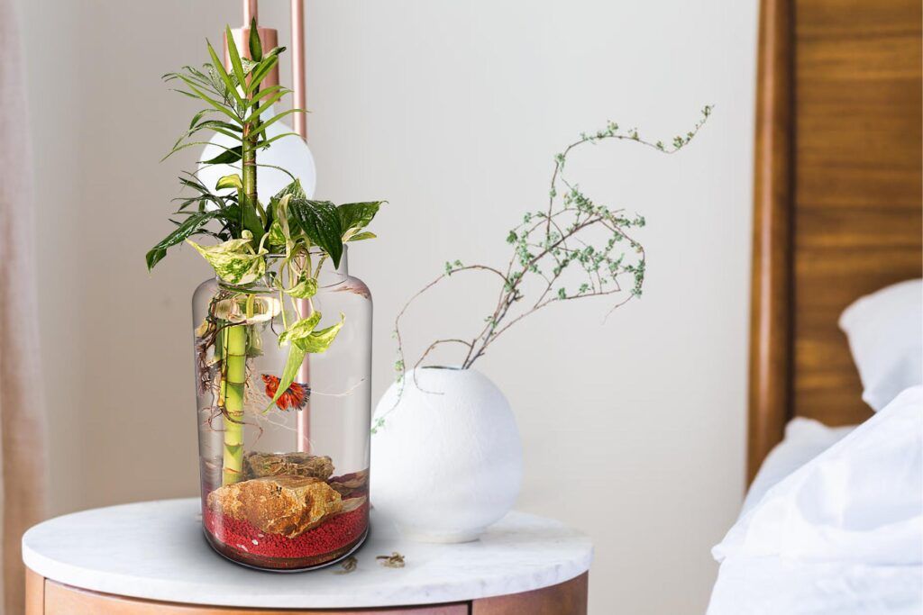 Ecosistema con pez y plantas