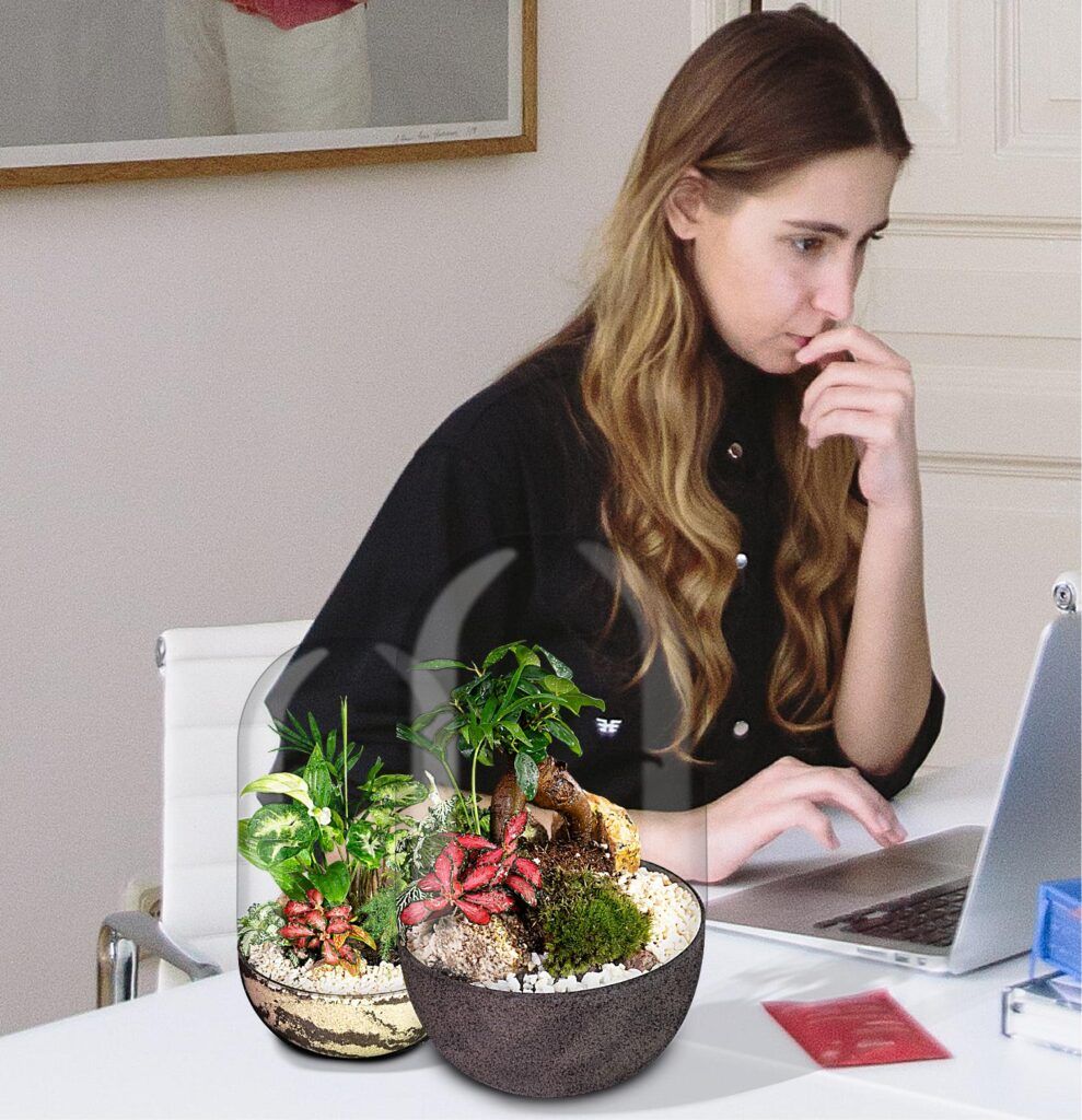 Biogarden Ecosistema Bonsái CHAN, naturaleza junto a ti