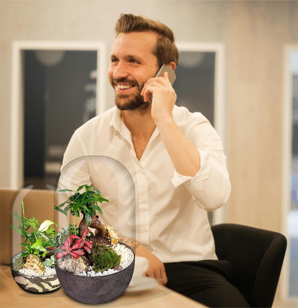 Biogarden Ecosistema Bonsái CHAN, naturaleza que relaja tu día a día