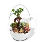 Biogarden, Ecosistema Bonsái CHIE con base en color blanco