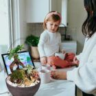 Biogarden, Ecosistema Bonsái CHIE, forma parte de tu vida