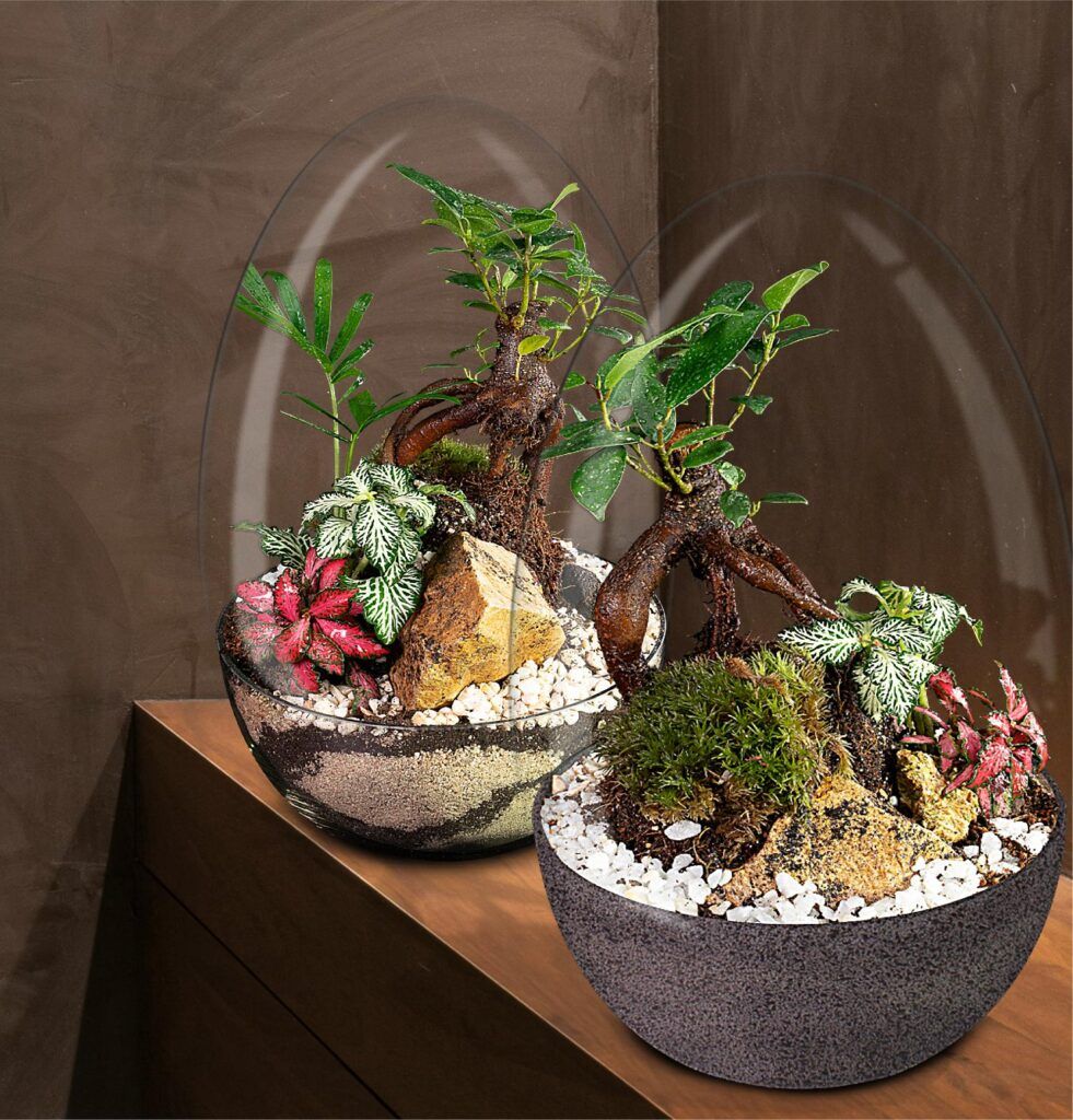 Biogarden, Ecosistema Bonsái CHIE, la Naturaleza muy cerca