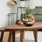 Biogarden, Ecosistema Bonsái CHIE, perfecto para decoración
