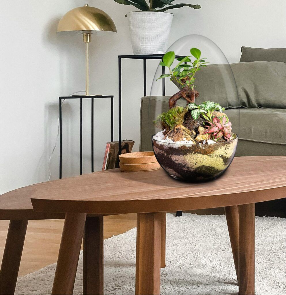 Biogarden, Ecosistema Bonsái CHIE, perfecto para decoración