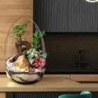 Biogarden, Ecosistema Bonsái CHIE, perfecto para decoración de tu hogar