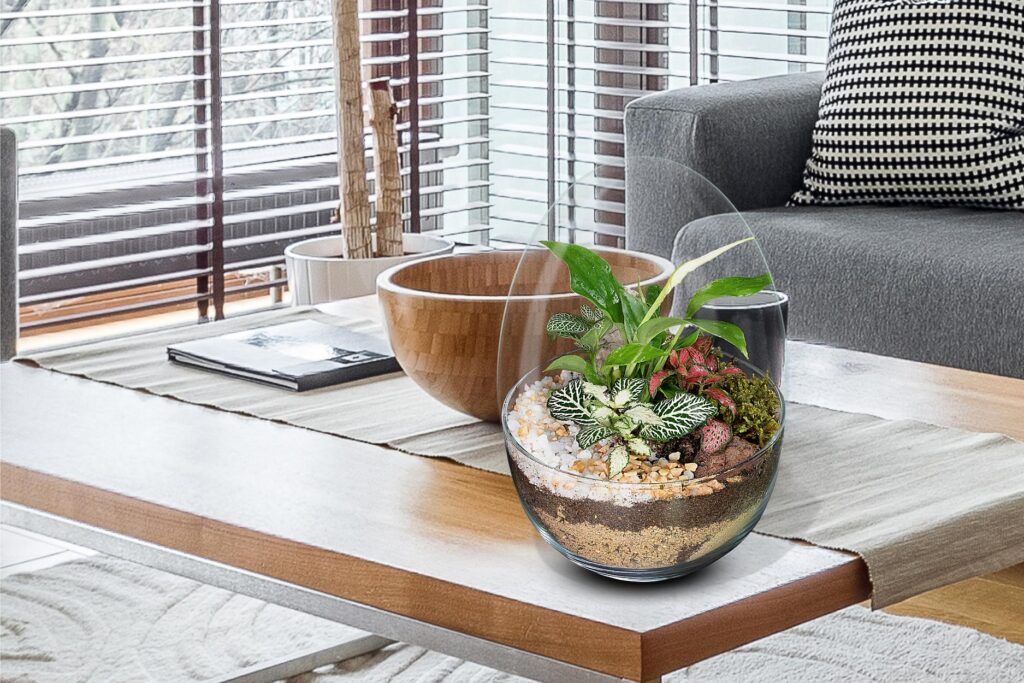 Biogarden Ecosistema Vivaldi en un espacio del hogar