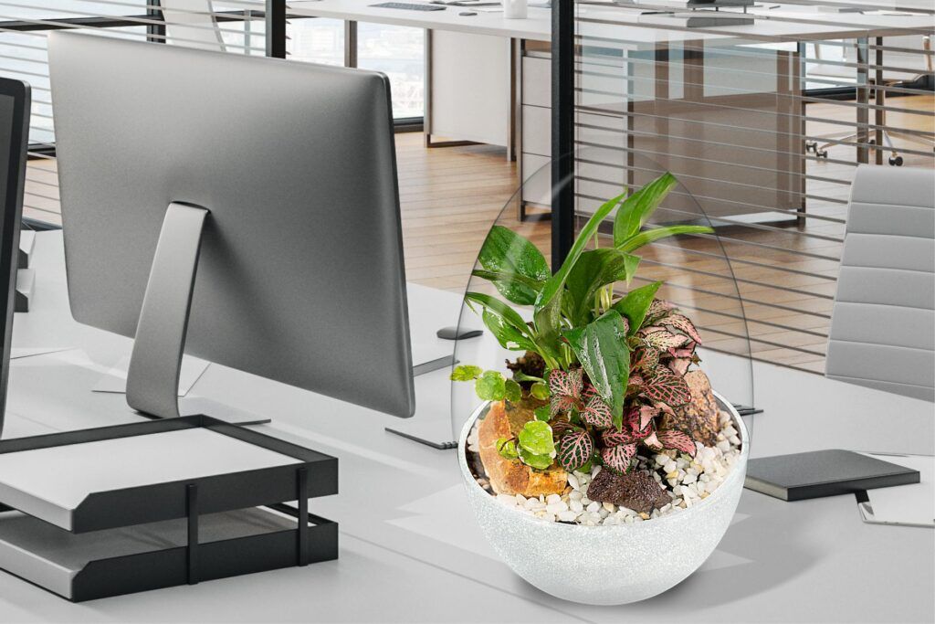 Biogarden al lado de un ordenador
