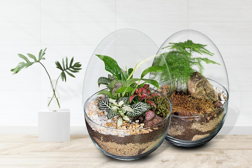 Biogarden ecosistemas integrados en la decoración