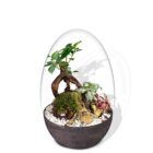 Biogarden, Ecosistema terrario Bonsái Pocket KI con base de color sustratos antracita