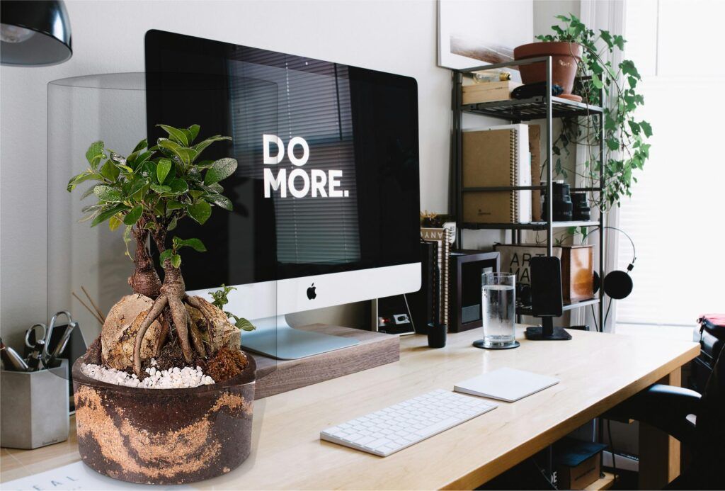 Biogarden, Ecosistema terrario bonsái SHIMRIN YOKU al lado de tu Pc es naturaleza para tus ojos