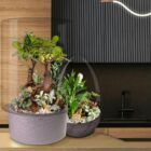 Biogarden, Ecosistema terrario bonsái SHIMRIN YOKU llenando de vida y color el interiorismo de tu hogar