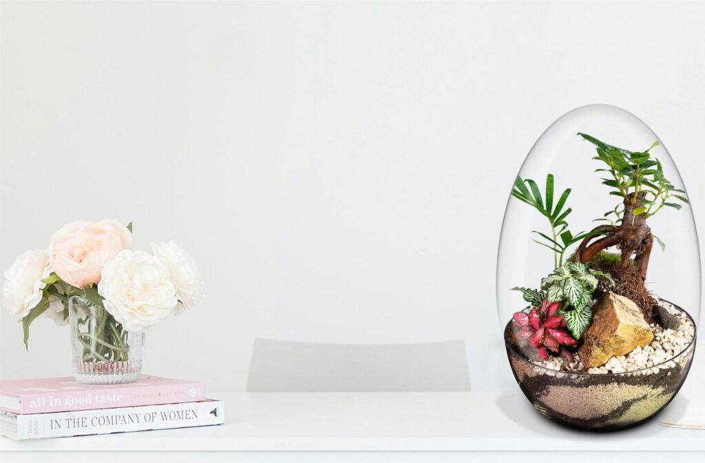 Biogarden ecosistema Bonsai CHIE, la Naturaleza en tu espacio favorito
