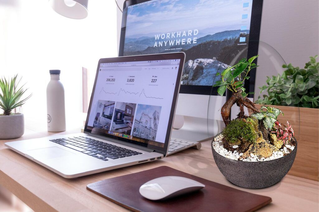 Biogarden ecosistema Bonsai CHIE, la Naturaleza te da vida