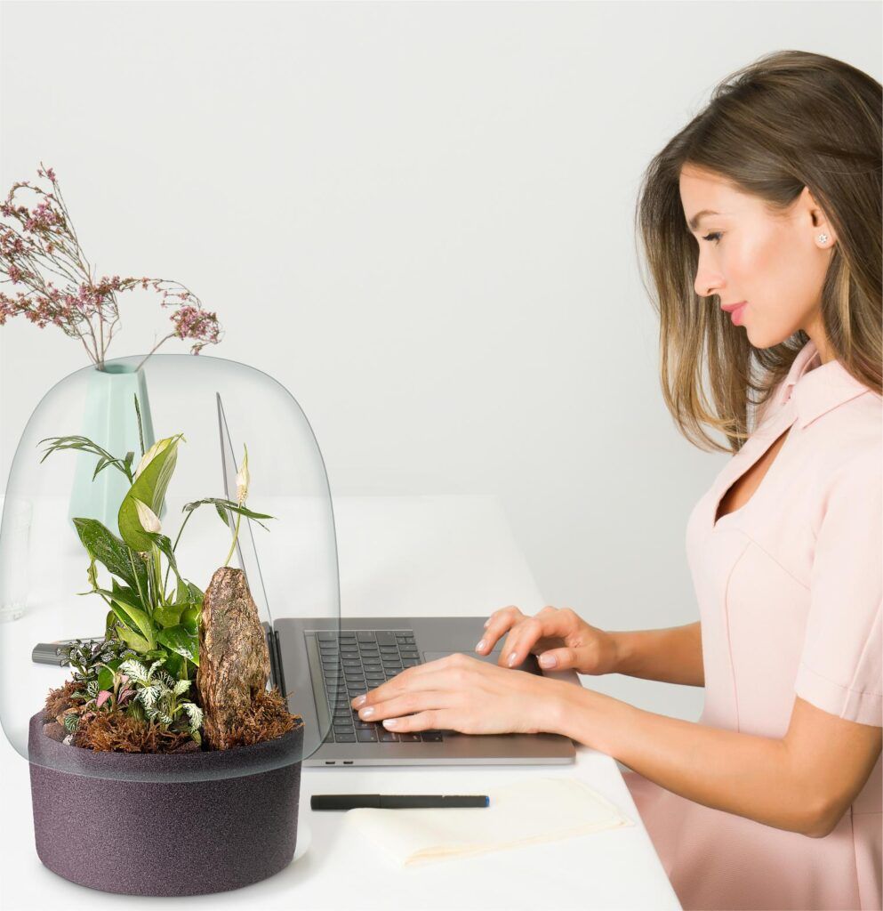 Biogarden, ecosistema Jardin terrario Renoior en un espacio de la oficina