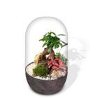 Biogarden, ecosistema bonsái Pocket KITO con base en color antracita