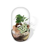 Biogarden, ecosistema bonsái Pocket KITO con base en color sustrato natural