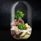Biogarden, ecosistema bonsái Pocket KITO con fondo negro