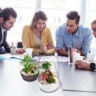 Biogarden, ecosistema terrario Bonsái Pocket KITO, naturaleza en tu entorno de trabajo