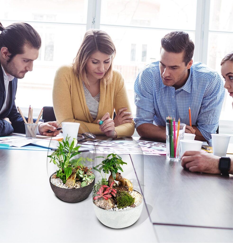 Biogarden, ecosistema terrario Bonsái Pocket KITO, naturaleza en tu entorno de trabajo