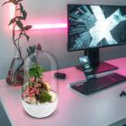Biogarden, ecosistema terrario Bonsái Pocket KITO, naturaleza en tu entorno de trabajo siempre contigo
