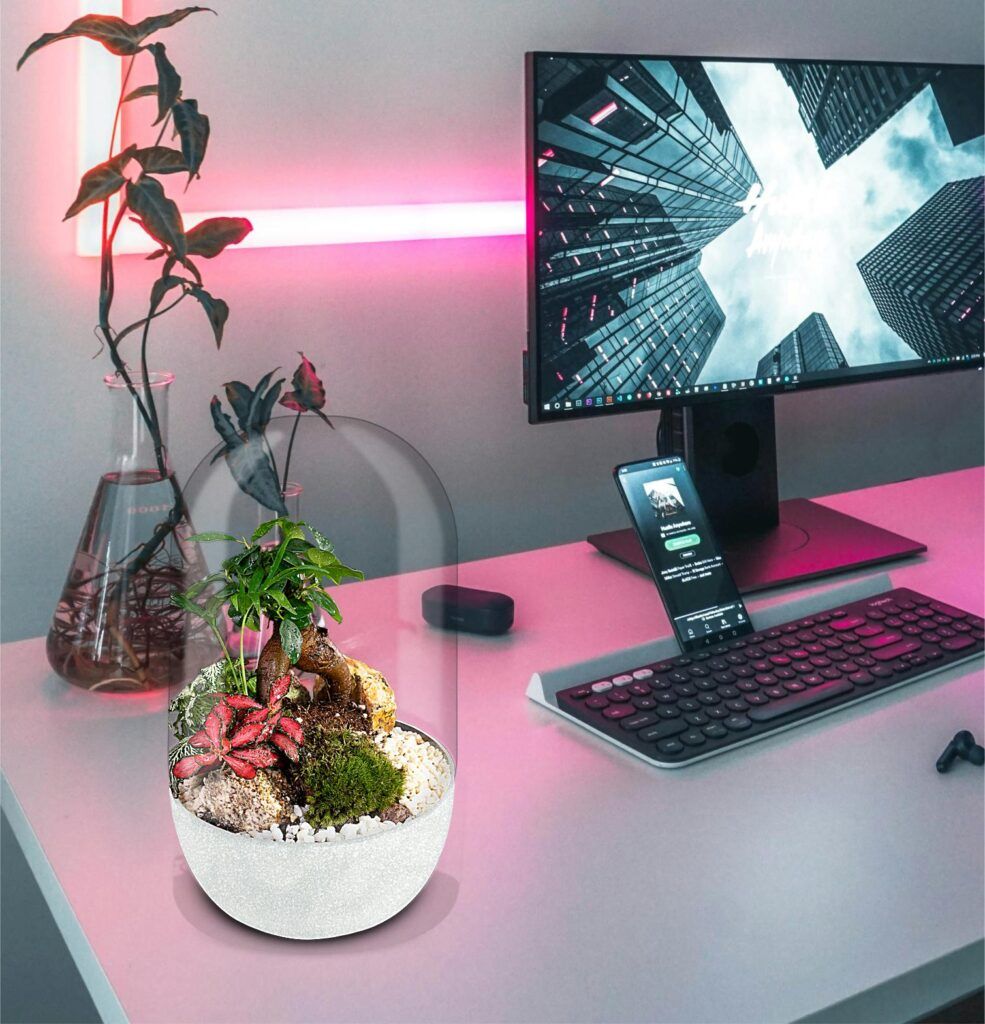 Biogarden, ecosistema terrario Bonsái Pocket KITO, naturaleza en tu entorno de trabajo siempre contigo