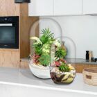 Biogarden, ecosistema terrario Bonsái Pocket KITO, siempre a tu lado, es el mejor regalo
