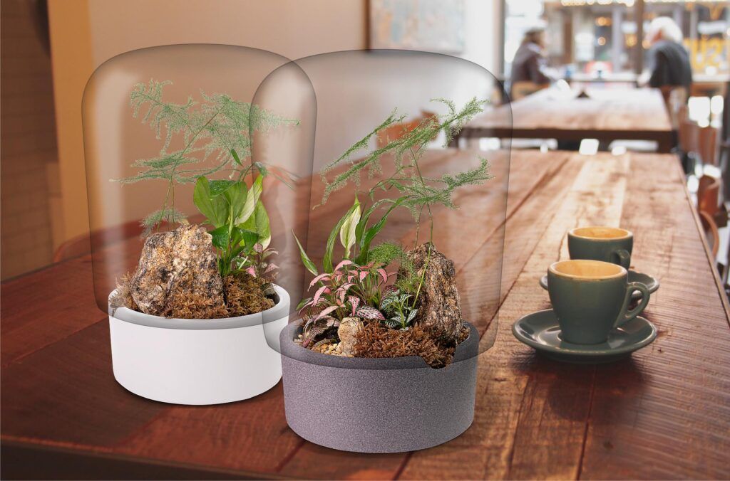Biogarden, ecosistema terrario JARDIN BOTÁNICO MONET en la decoración de tus espacios favoritos