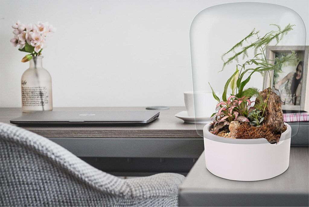 Biogarden, ecosistema terrario JARDIN BOTÁNICO MONET en la decoración de un hogar