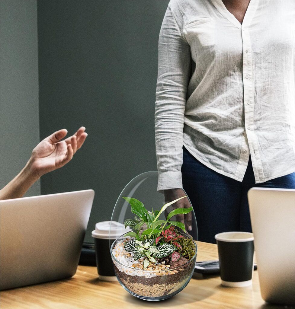 Biogarden, ecosistema terrario VIVALDI integrado en la decoración de una oficina