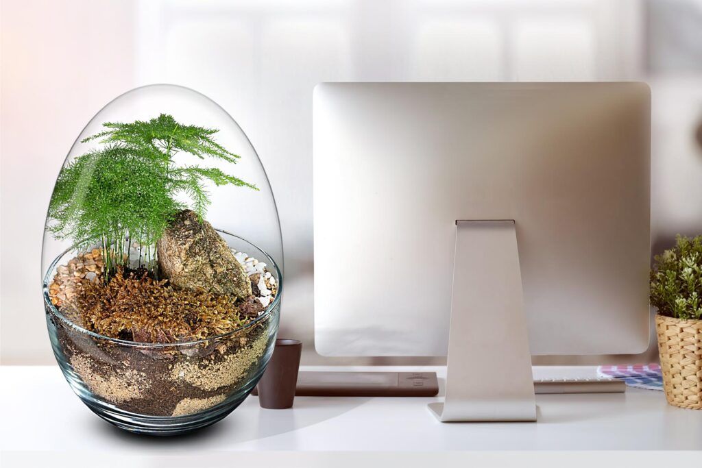 Biogarden, ecosistema terrario integrado en tu oficina y puesto de trabajo