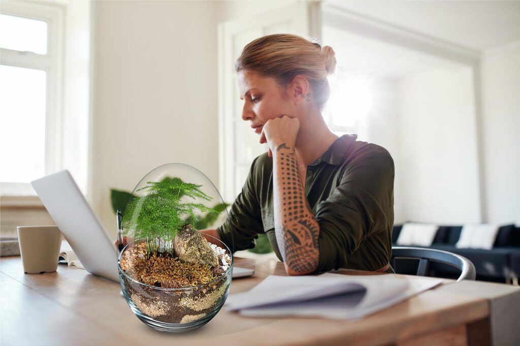Biogarden, ecosistema terrario integrado la decoración de una oficina