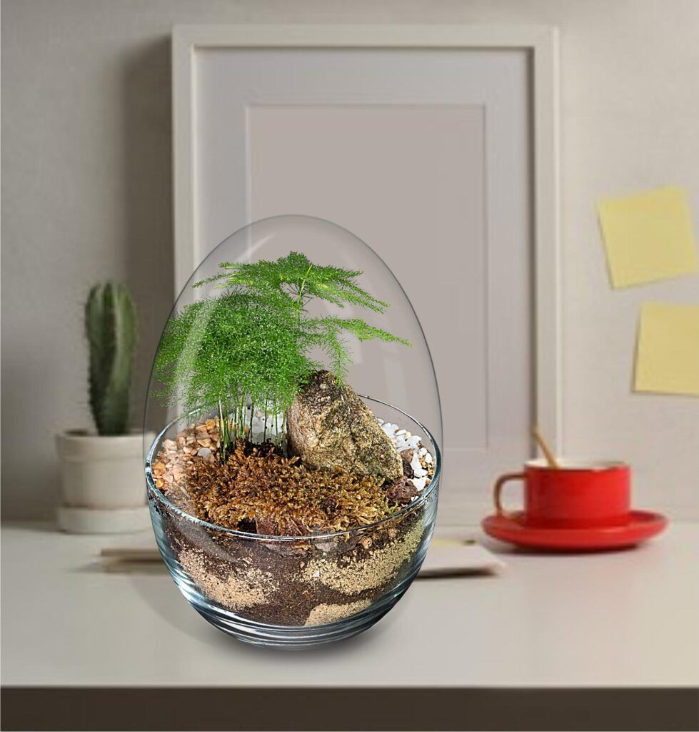 Biogarden ecosistema terrario integrado en la decoración en el hogar