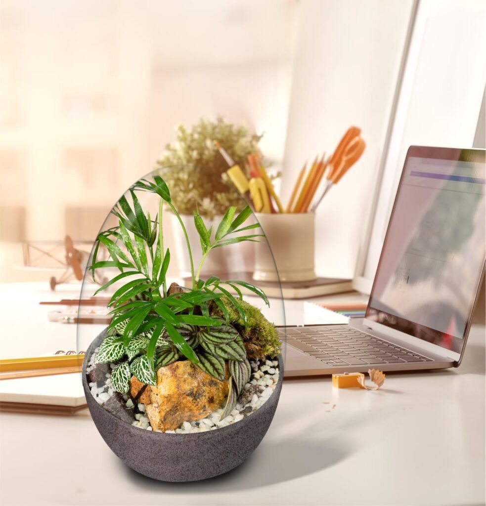 Biogarden ecosistema terrarium Wagner junto a un ordenador